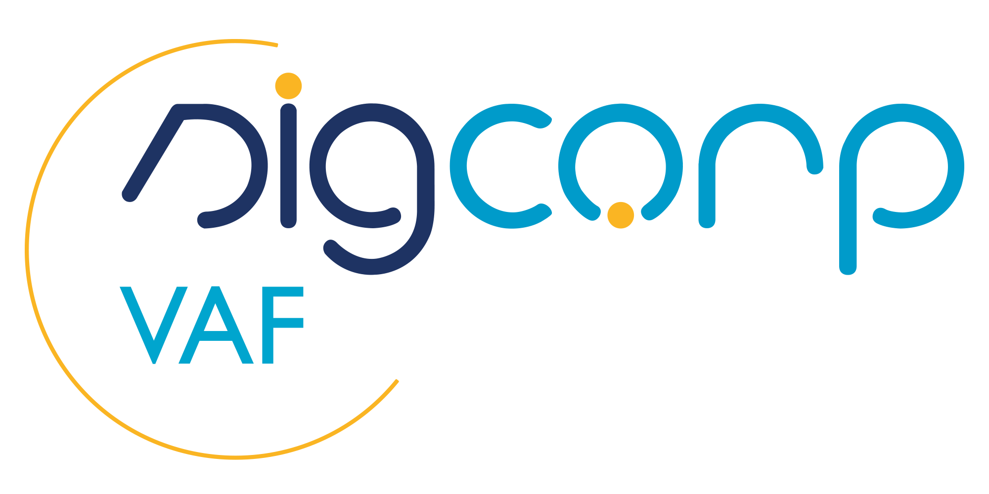 Logo Sigcorp VAF
